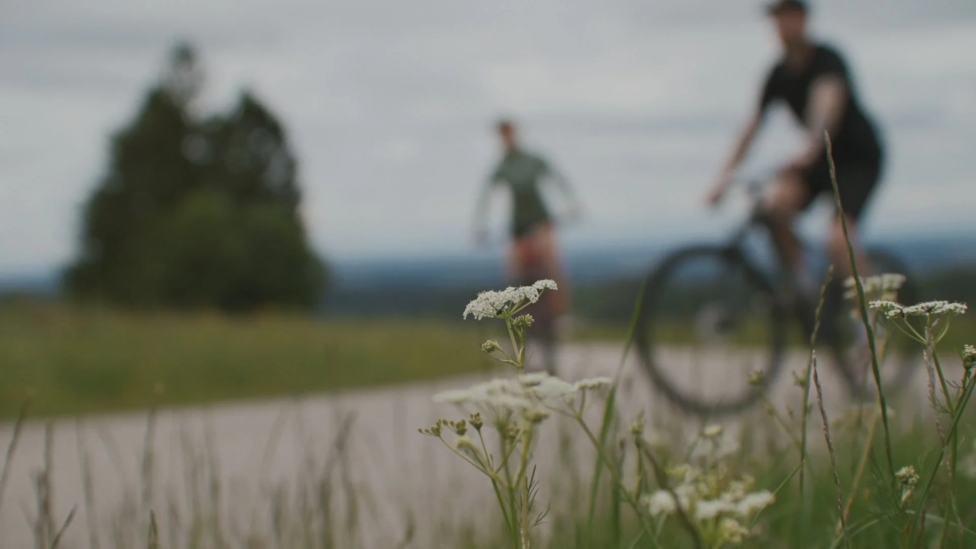 Atera: Mode der nächsten Generation